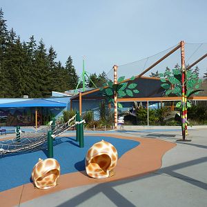 Children's Zone