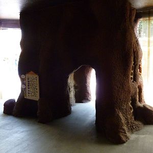 Meerkat Exhibit - Viewing Shelter