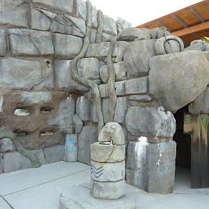 Damaraland Mole Rat Exhibit + Scorpion Cave