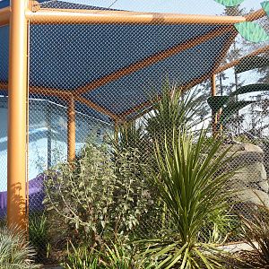 Ringtail + Black Lemur Exhibit