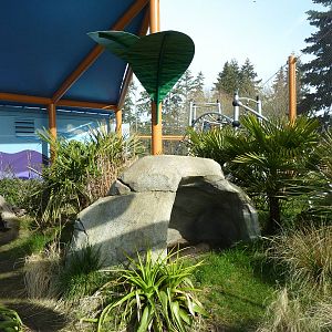 Ringtail + Black Lemur Exhibit