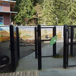 Walk-Through Parma Wallaby Exhibit