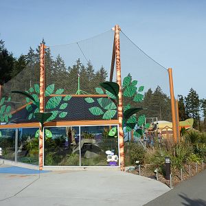 Ringtail + Black Lemur Exhibit