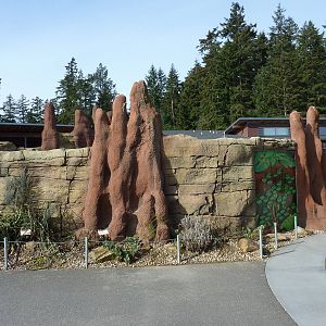 Meerkat Exhibit - Exterior