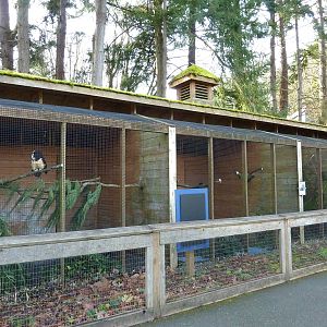 Aviaries