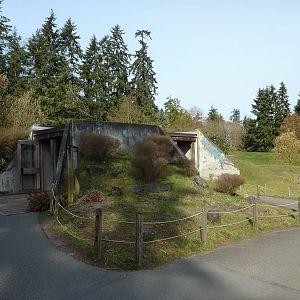 Muskox Exhibit - Entrance