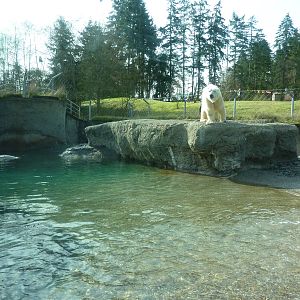 Polar Bear Exhibit