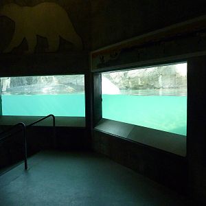 Polar Bear Exhibit