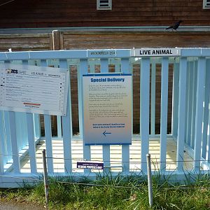 Walrus Transportation Crate