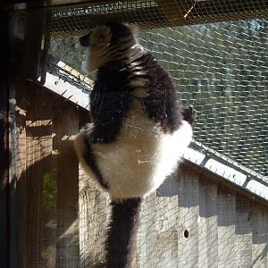 Checking for Flaws...