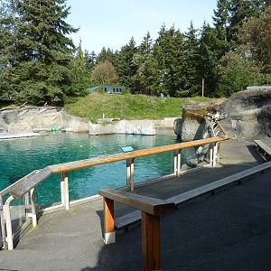 Harbour Seal Exhibit - Viewing Area