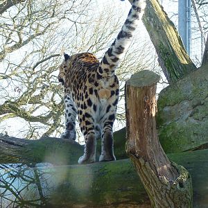 Akin tells the public what he thinks of them.