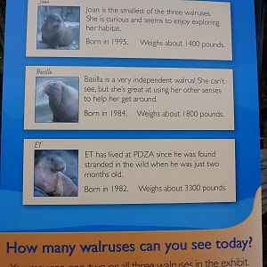 Walrus Exhibit - Sign