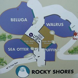 Rocky Shores Map