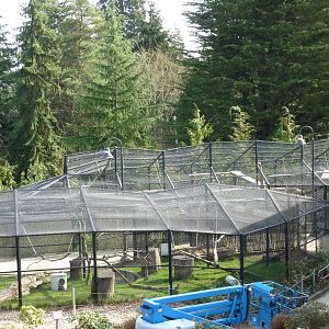 Wild Wonders Theater - Empty Holding Exhibits