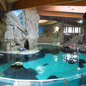Duisburg Zoo 2004 - Dolphin pool