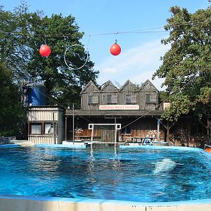 Duisburg Zoo 2004 - Beluga pool