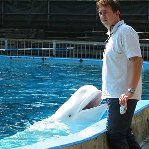 Duisburg Zoo 2004 - Trainer with the Beluga