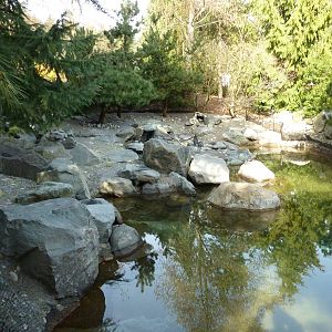 Magellanic Penguin Exhibit
