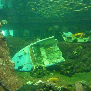 North Pacific Aquarium