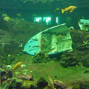 North Pacific Aquarium