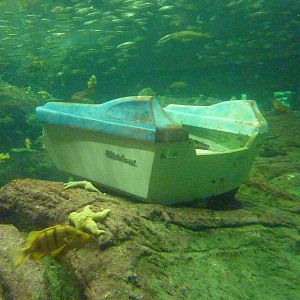 North Pacific Aquarium