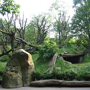 Duisburg Zoo 2004 - Gorilla exhibit