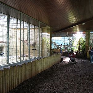Duisburg Zoo 2004 - Inside the renovated Primate House