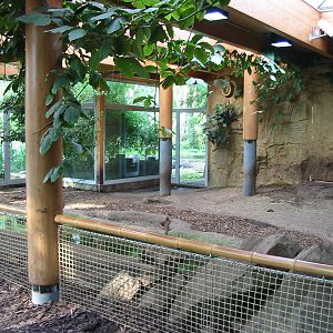 Duisburg Zoo 2004 - Indoor Pigmy Hippopotamus exhibit
