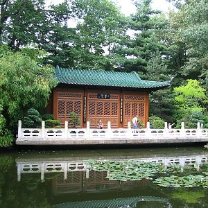 Duisburg Zoo 2004 - Chinese Garden