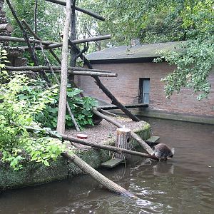 Duisburg Zoo 2004 - North American Tree Porcupine exhibit