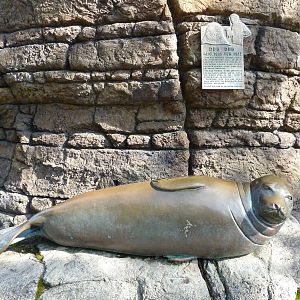 Dub Dub Statue - Harbour Seal