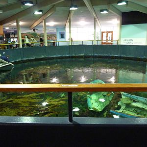 North Pacific Aquarium