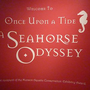 North Pacific Aquarium - Seahorse Exhibit Sign