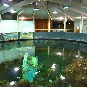 North Pacific Aquarium