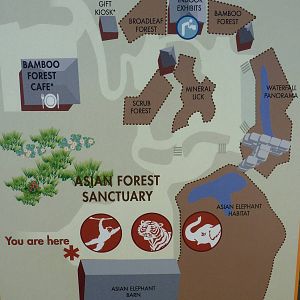Asian Forest Sanctuary - Map