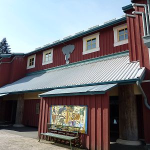 Asian Forest Sanctuary - Elephant Barn