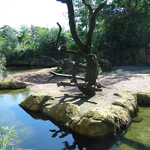 Hannover Zoo 2004 - Hippopotamus exhibit