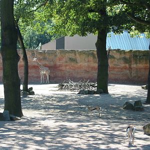 Hannover Zoo 2004 - Mixed Savannah exhibit
