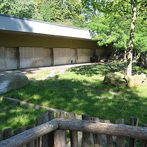 Hannover Zoo 2004 - Brazilian Tapir exhibit
