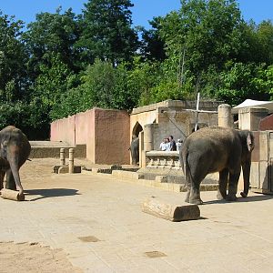 Hannover Zoo 2004 - Asiatic Elephant exhibit