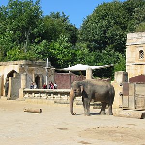 Hannover Zoo 2004 - Asiatic Elephant exhibit