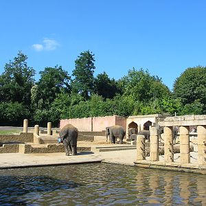 Hannover Zoo 2004 - Asiatic Elephant exhibit