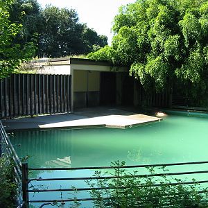 Hannover Zoo 2004 - Old and unsuitable Pacific Walrus pool