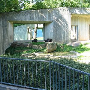 Hannover Zoo 2004 - Old outdoor Chimpanzee exhibit