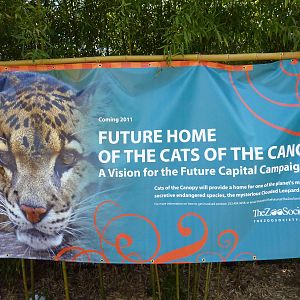 Asian Forest Sanctuary - Clouded Leopard Sign