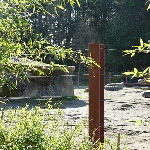 Asian Forest Sanctuary - Elephant Exhibit