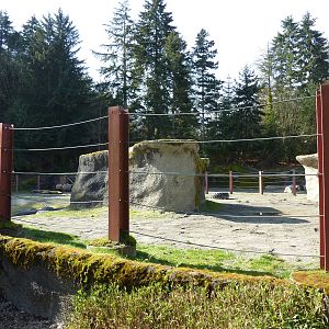 Asian Forest Sanctuary - Elephant Exhibit