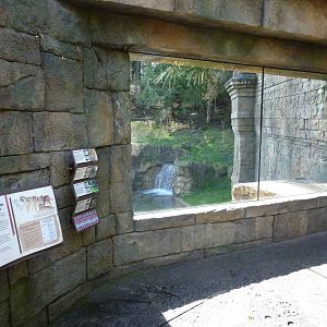 Asian Forest Sanctuary - Rotation Exhibit