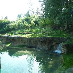 Asian Forest Sanctuary - Rotation Exhibit